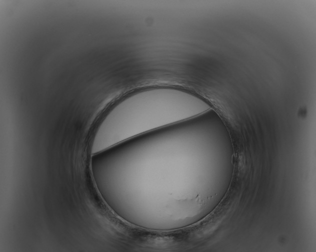 X0000094820304200711161035