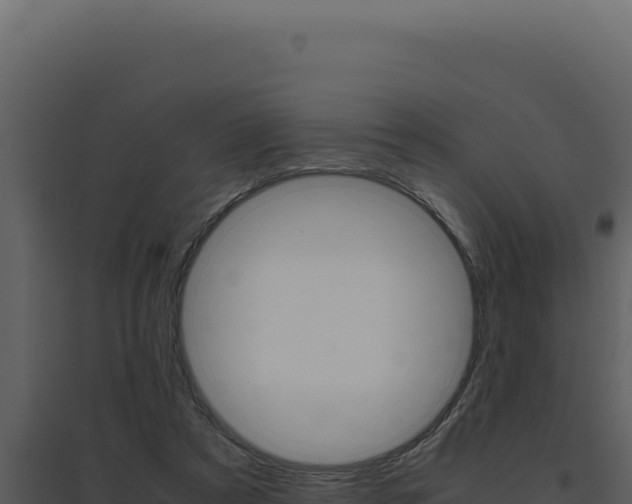 X0000094820305200711161035