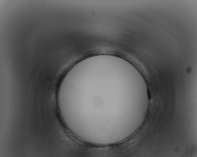 X0000094820306200711161035