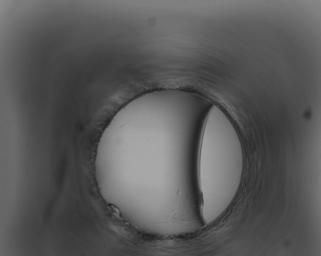 X0000094820307200711161035