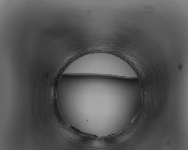 X0000094820308200711161035