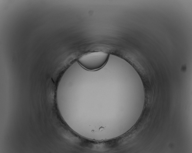 X0000094820309200711161035