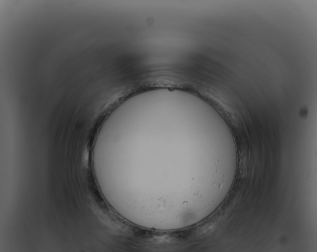 X0000094820310200711161035