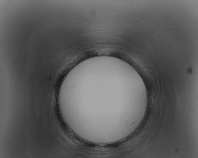 X0000094820311200711161035