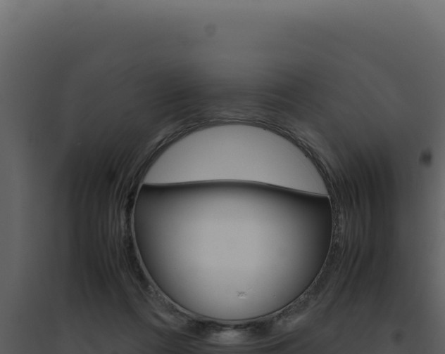 X0000094820312200711161034