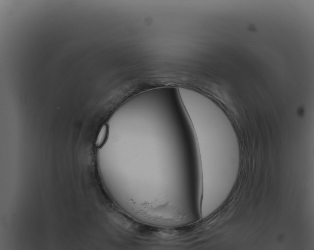 X0000094820317200711161034