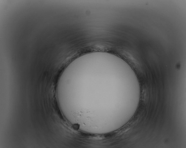 X0000094820318200711161034