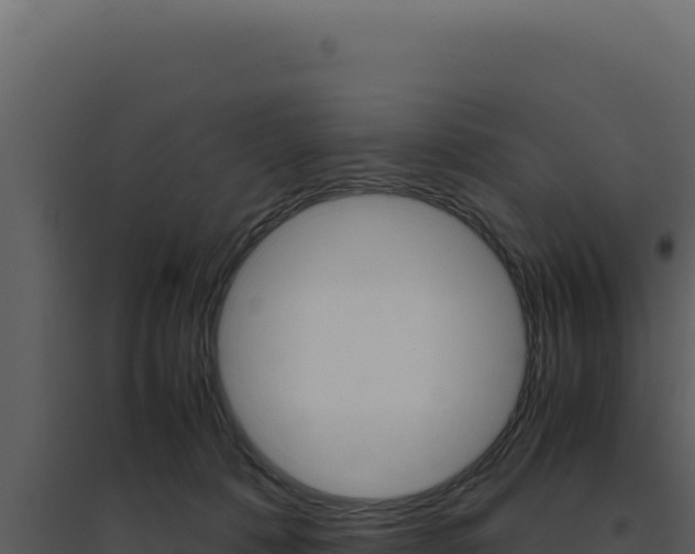 X0000094820320200711161034