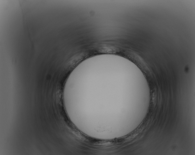 X0000094820322200711161034