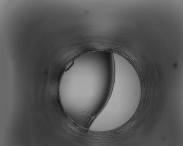X0000094820325200711161034