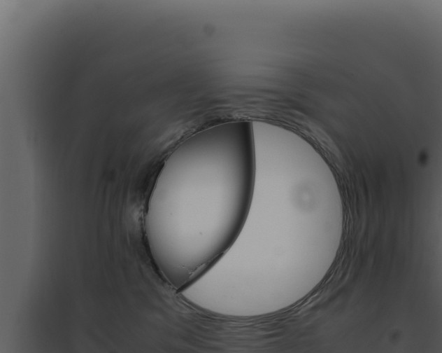 X0000094820329200711161034