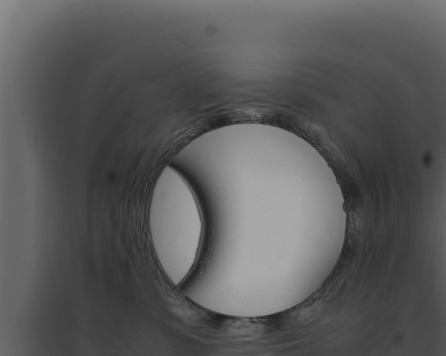 X0000094820331200711161034