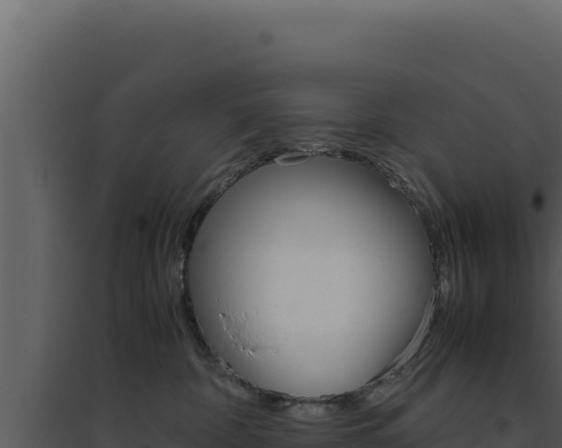 X0000094820332200711161034