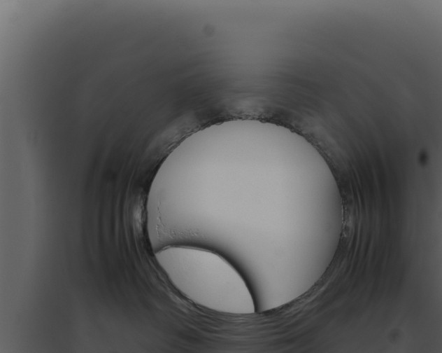 X0000094820334200711161034