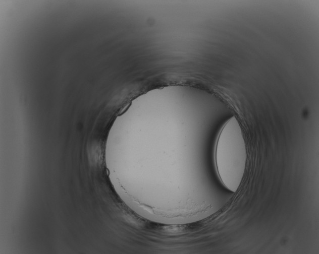 X0000094820335200711161034