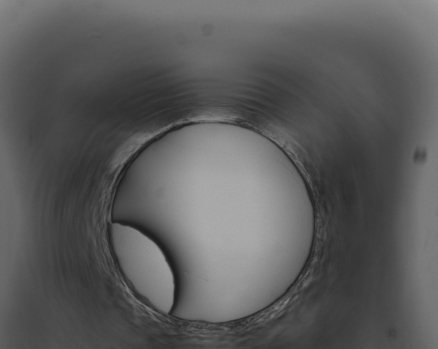 X0000094820337200711161033