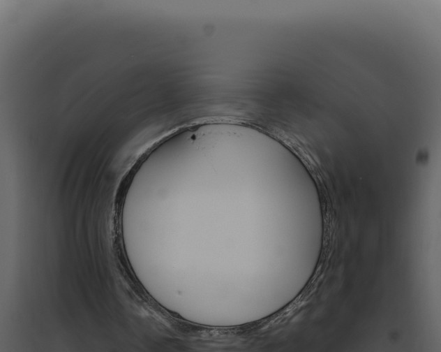 X0000094820338200711161033