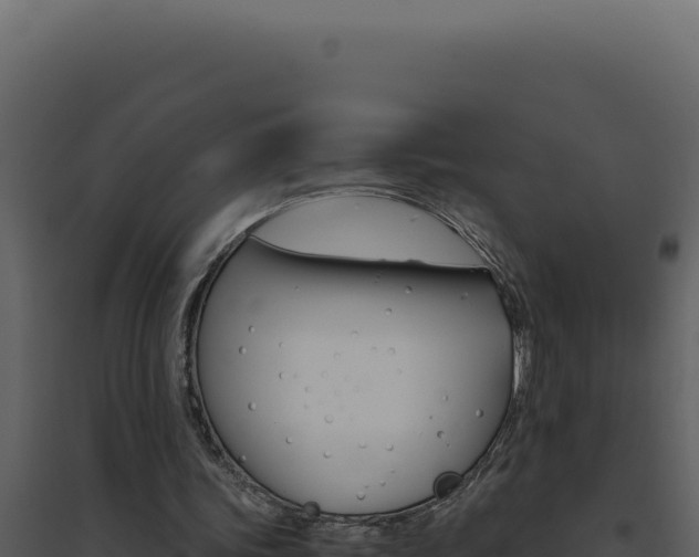 X0000094820339200711161033
