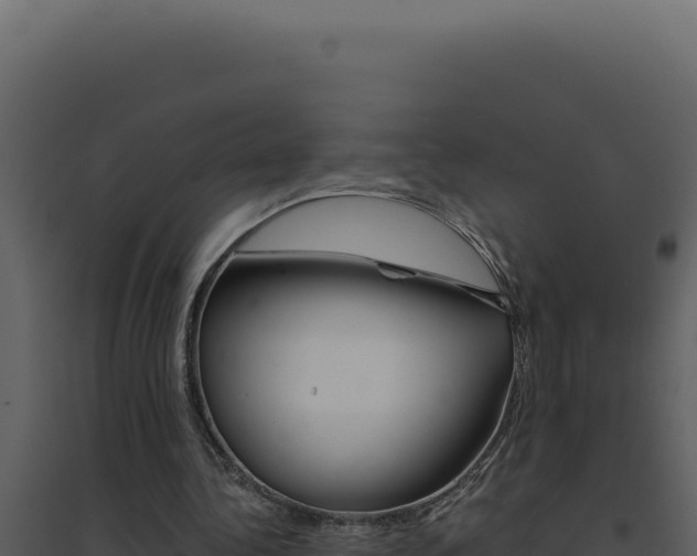 X0000094820340200711161033