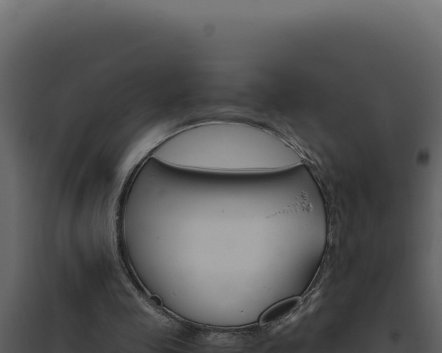 X0000094820341200711161033