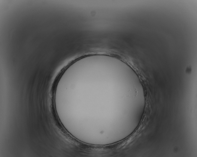 X0000094820342200711161033