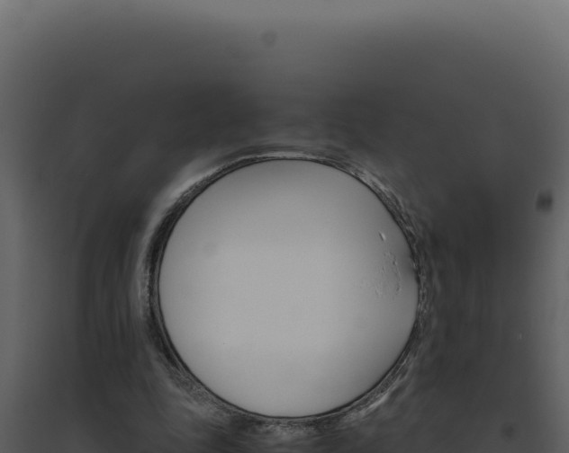 X0000094820343200711161033