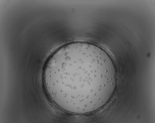 X0000094820346200711161033