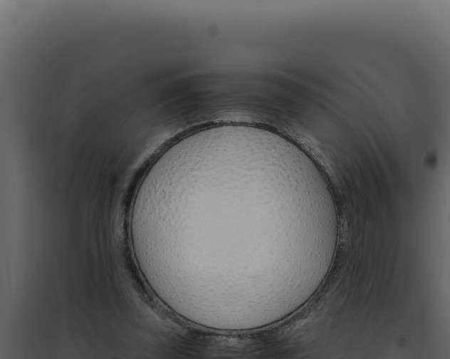 X0000094820347200711161033