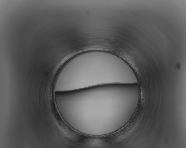 X0000094820348200711161033