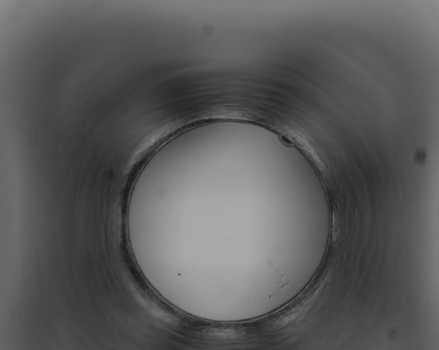 X0000094820349200711161033