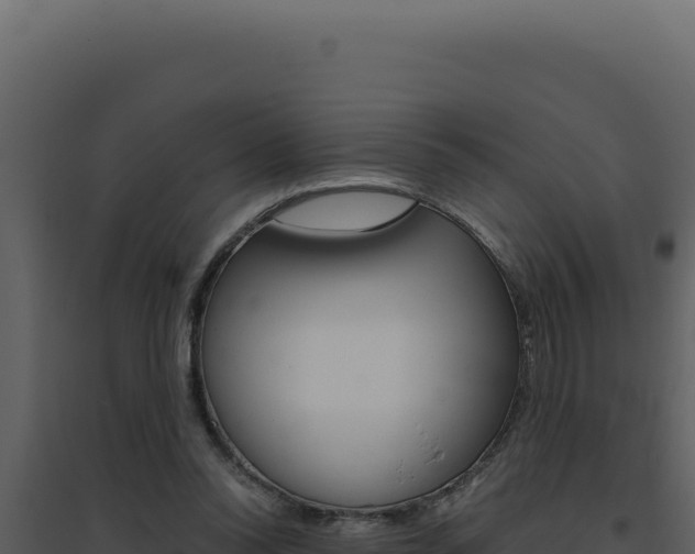 X0000094820350200711161033