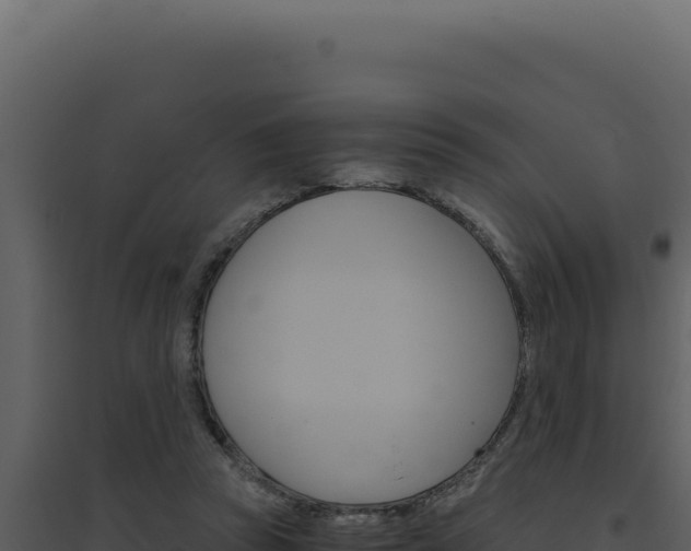 X0000094820353200711161034