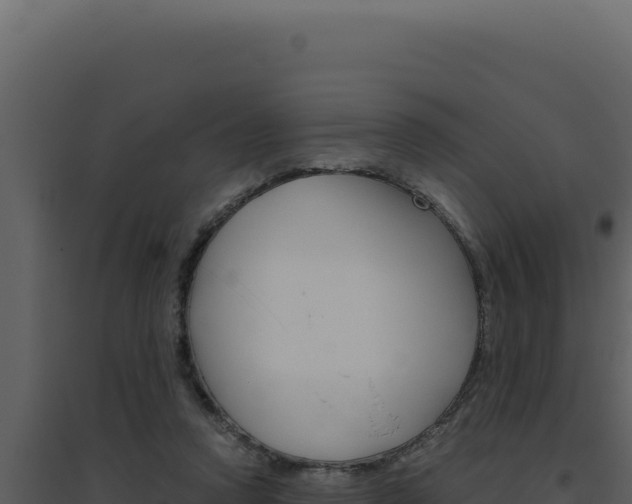 X0000094820354200711161034