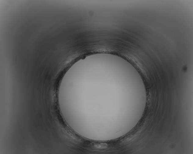 X0000094820355200711161034