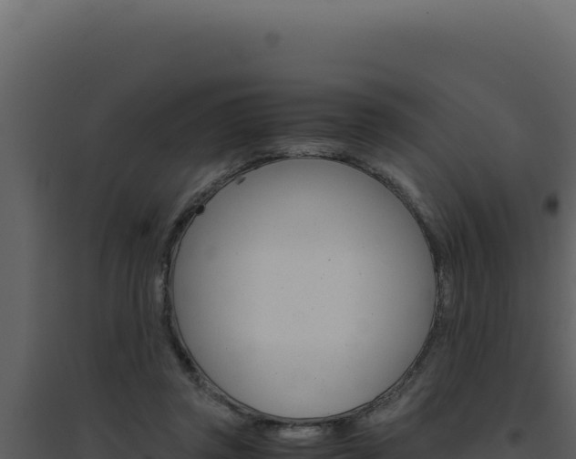 X0000094820357200711161034