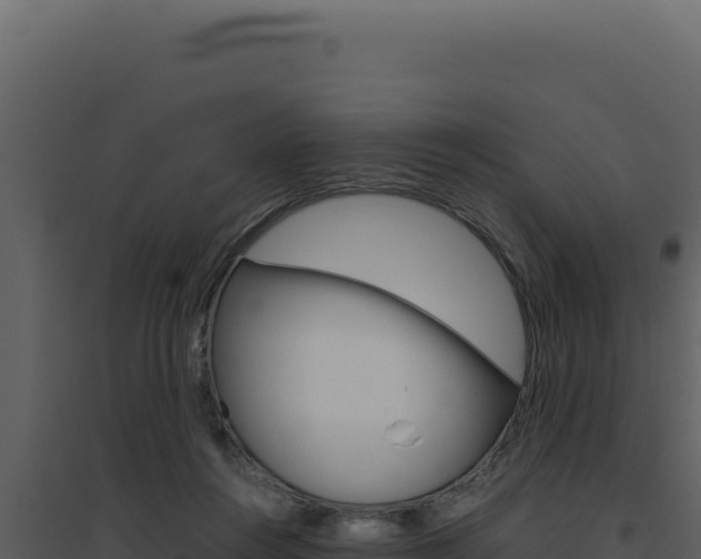 X0000094820360200711161034