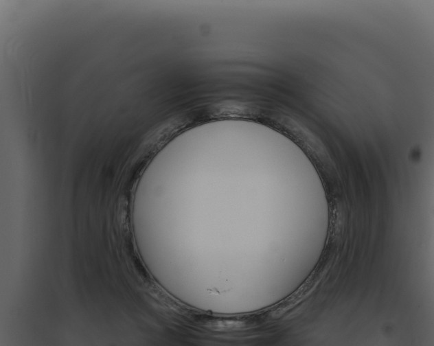 X0000094820361200711161034
