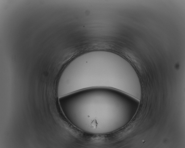 X0000094820362200711161034
