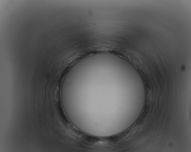 X0000094820364200711161034