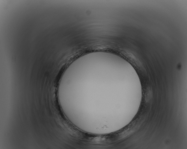X0000094820366200711161034