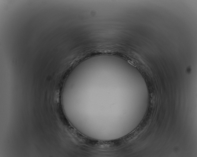 X0000094820368200711161034