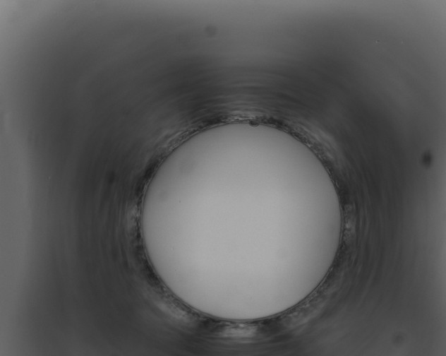 X0000094820369200711161034