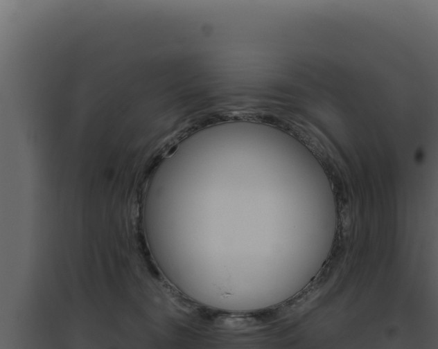 X0000094820372200711161034