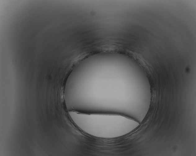 X0000094820383200711161034
