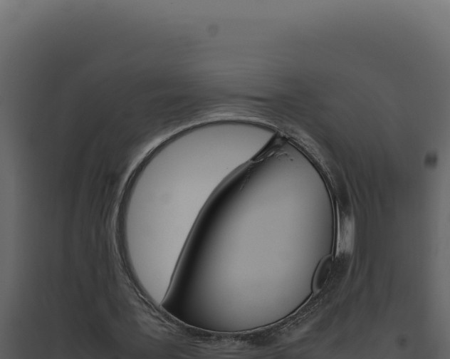 X0000094820387200711161033