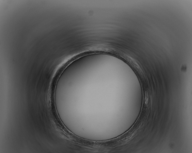 X0000094820388200711161033