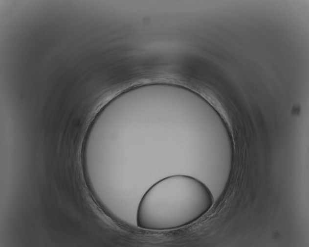 X0000094820389200711161033