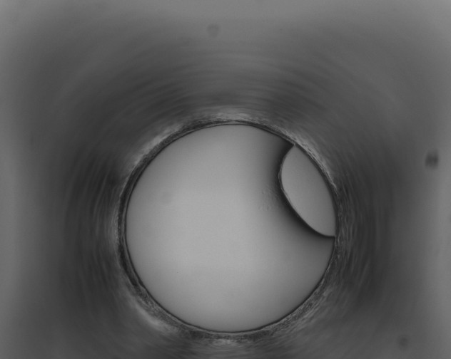 X0000094820390200711161033