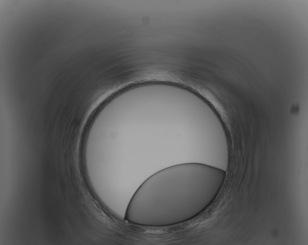 X0000094820391200711161033