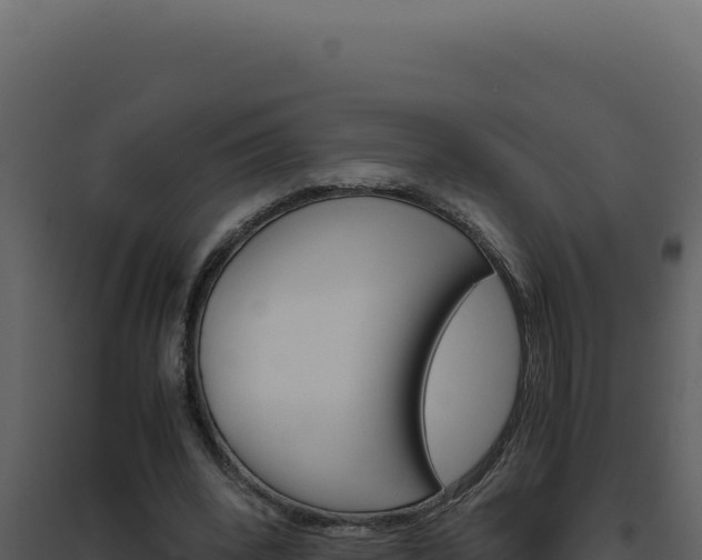 X0000094820392200711161033